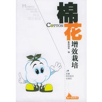 棉花增效栽培