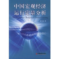 中国宏观经济运行定量分析