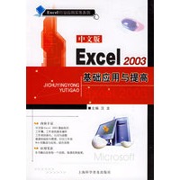 中文版Excel2003基础应用与提高