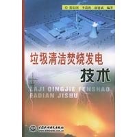 垃圾清洁焚烧发电技术