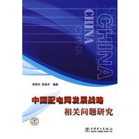 中国配电网发展战略相关问题研究
