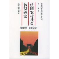 法国农村社会转型研究：19世纪至20世纪初——世界现代化进程研究丛书