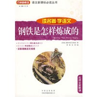 钢铁是怎样炼成的(读名著学语文)
