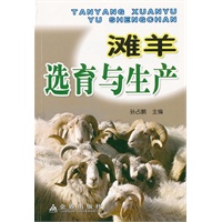 滩羊选育与生产
