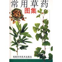 常用草药图集