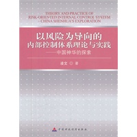 以风险为导向的内部控制体系理论与实践（平装）