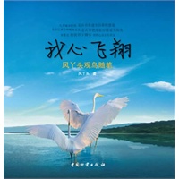 我心飞翔——风丫头观鸟随笔