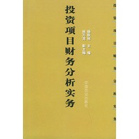 投资项目财务分析实务