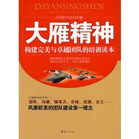 大雁精神/金牌员工职业精神系列丛书