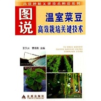 图说温室菜豆高效栽培关键技术