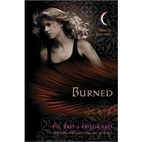 Burned 燃烧