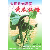 大棚日光温室黄瓜栽培