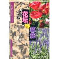花坛草花