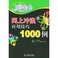 网上冲浪应用技巧1000例——电脑应用排困解难魔法书