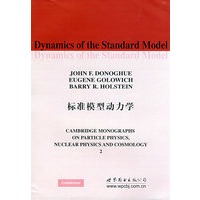 标准模型动力学