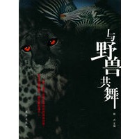 与野兽共舞