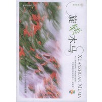 旋转木马