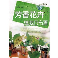 芳香花卉：植栽巧布置