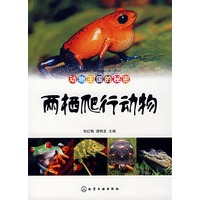 动物王国的秘密--两栖爬行动物