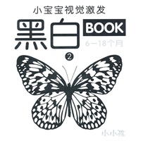 小宝宝视觉激发黑白BOOK 2 （6-18个月）