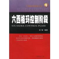 六西格玛控制阶段