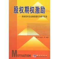 股权期权激励(高新技术企业激励理论与操作实务)