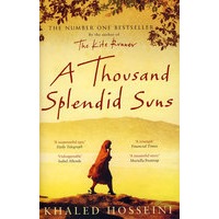 灿烂千阳Thousand Splendid Suns