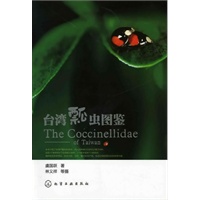 台湾瓢虫图鉴