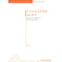 中小企业及其集群成长研究