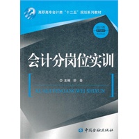 会计分岗位实训