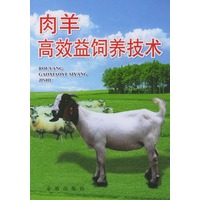 肉羊高效益饲养技术