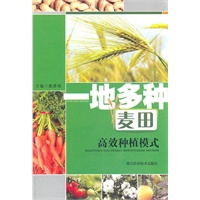 一地多种麦田高效种植模式