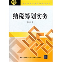 纳税筹划实务（现代经济与管理类规划教材）