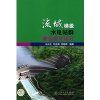 流域梯级水电站群联合优化运行