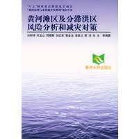 黄河滩区及分滞洪区风险分析和减灾对策——黄河治理与水资源开发利用