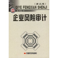 企业风险审计（第二版）