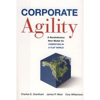 灵活创新竞争新模式CORPORATE AGILITY