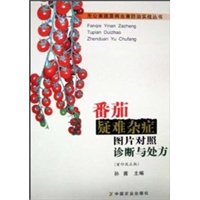 番茄疑难杂症图片对照诊断与处方/无公害蔬菜病虫害防治实战丛书