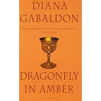 Dragonfly in Amber