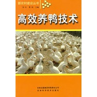 高效养鸭技术