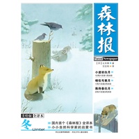 《森林报·冬》美绘全译本（国内首个《森林报》全译本，小小自然科学家的启蒙书，著名翻译家沈念驹翻译，全彩印刷，100余幅精美插图）