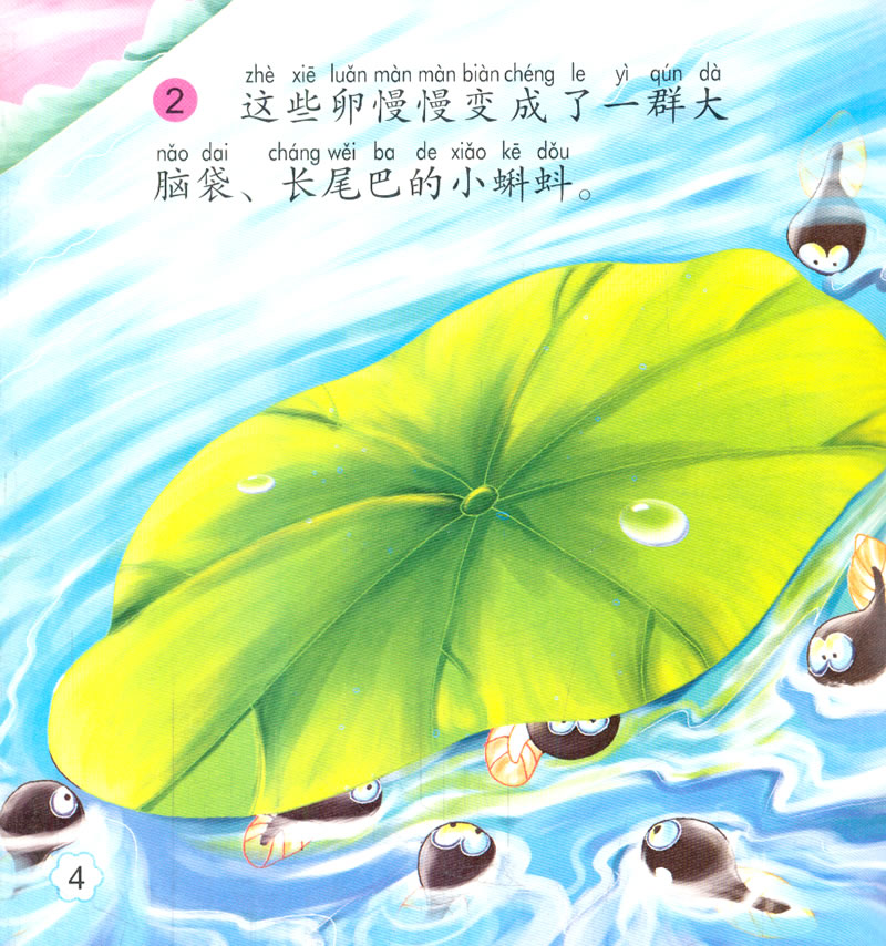 宝宝小画书.小蝌蚪找妈妈