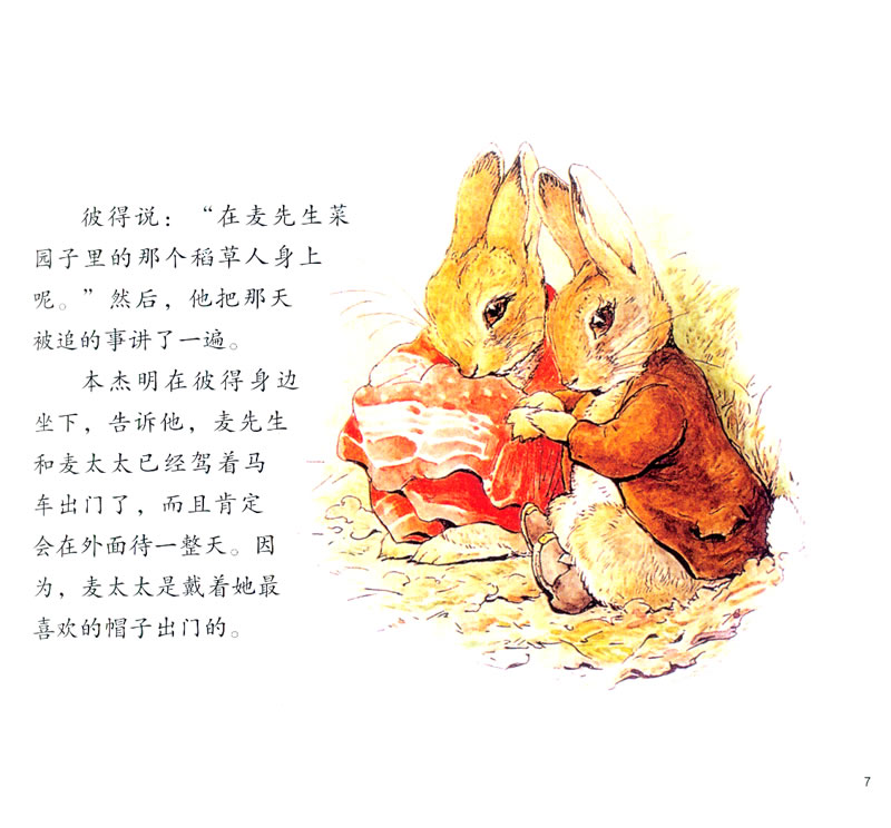插图