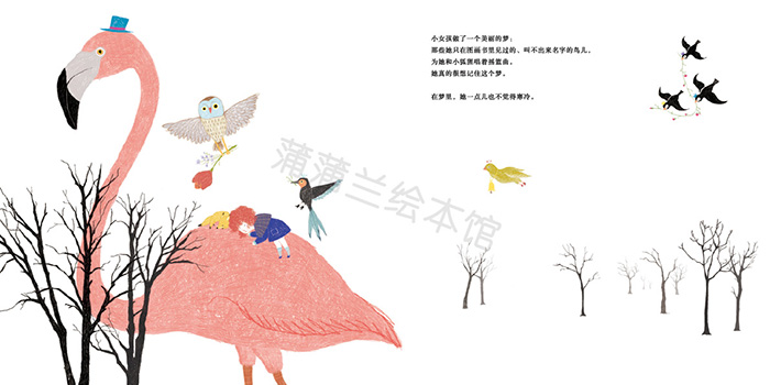 插图