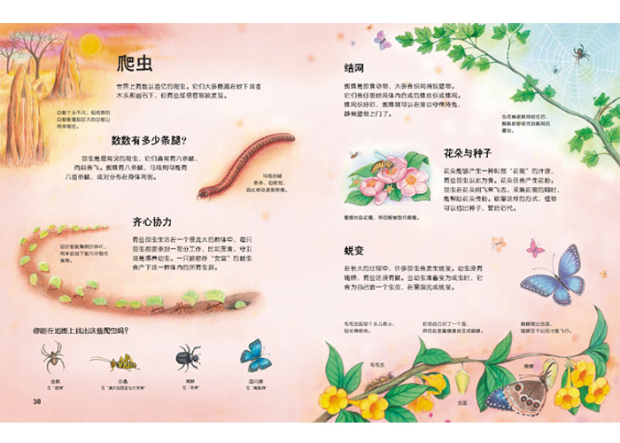插图