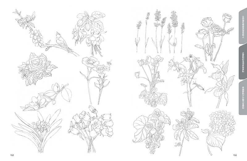 [全新正版包邮]零基础新手学漫画:萝莉少女速查