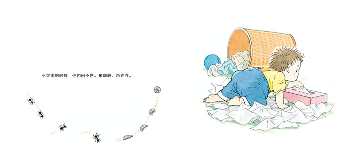 插图