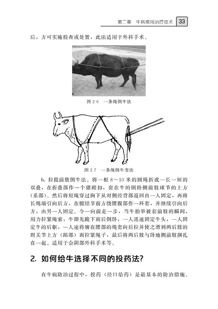 现代牛病防制实战技术问答