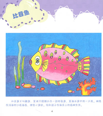 水生动物简笔画:螃蟹1