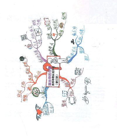 画出你的世界:思维导图实战手册(修订版)(全彩)(思维导图思考法,从